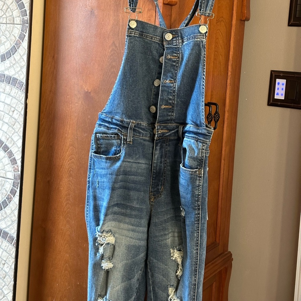 Denim Distressed Overalls